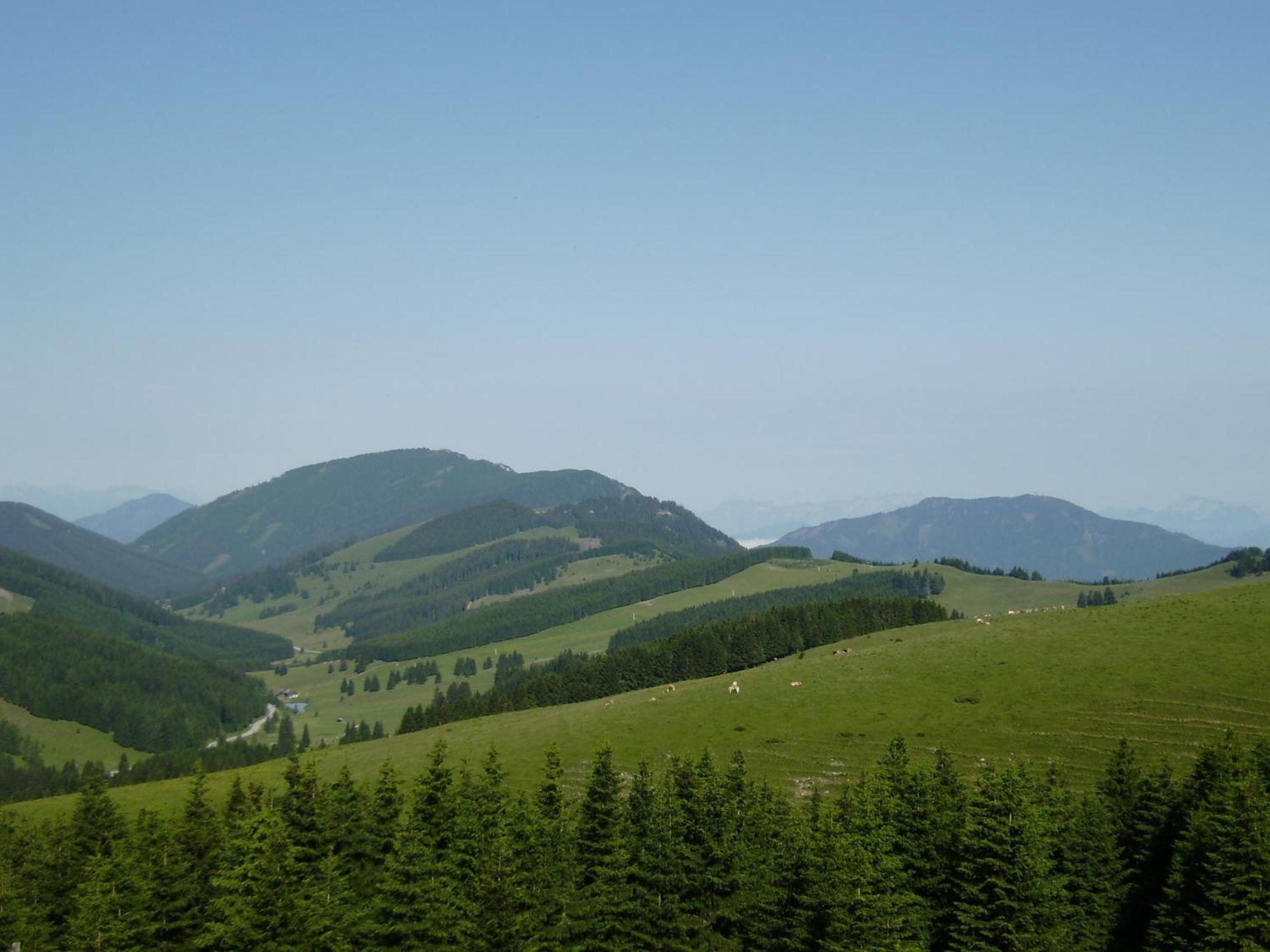 Huberhof Im Almenland Sankt Kathrein am Offenegg Exterior foto