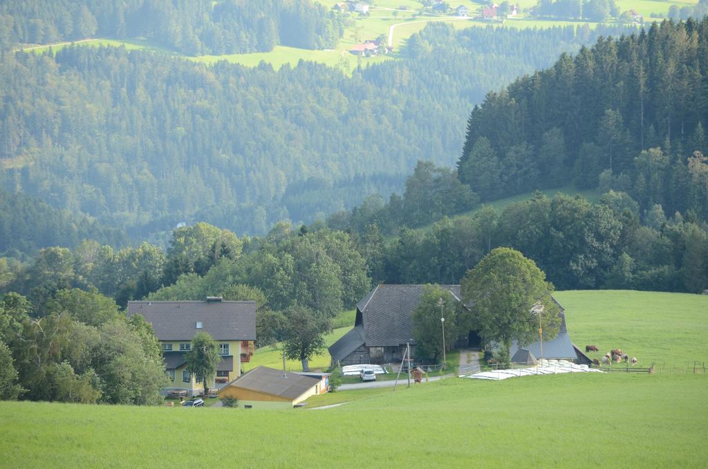 Huberhof Im Almenland Sankt Kathrein am Offenegg Exterior foto